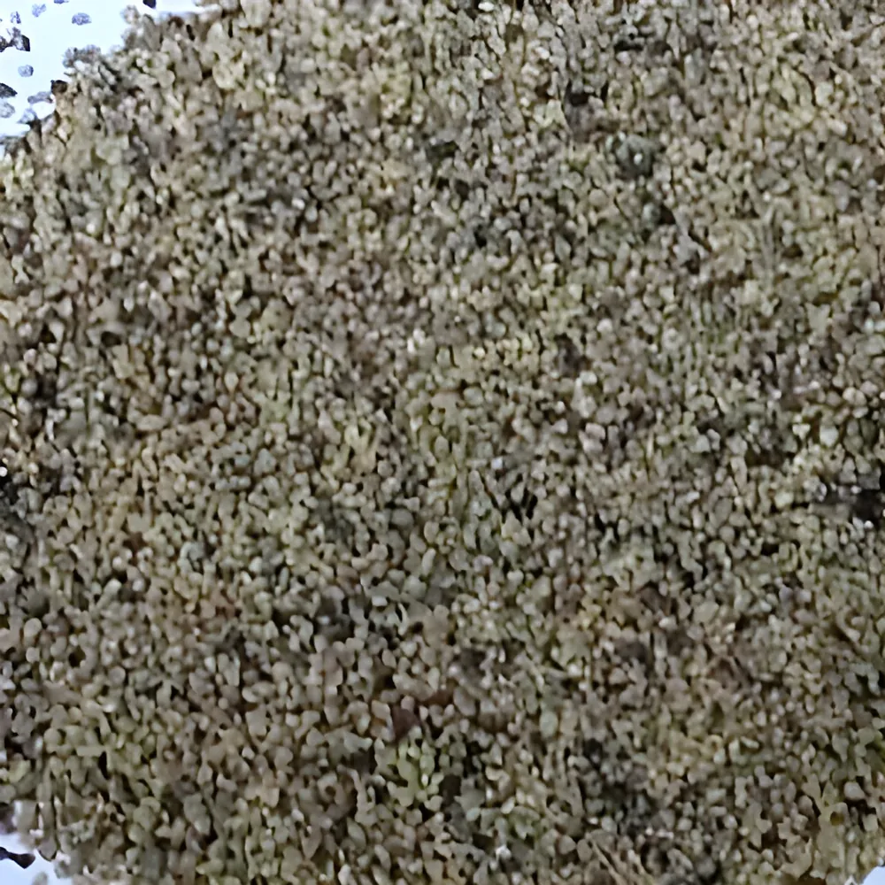 Giri Kali Mirch Daal, real close-up of our stock