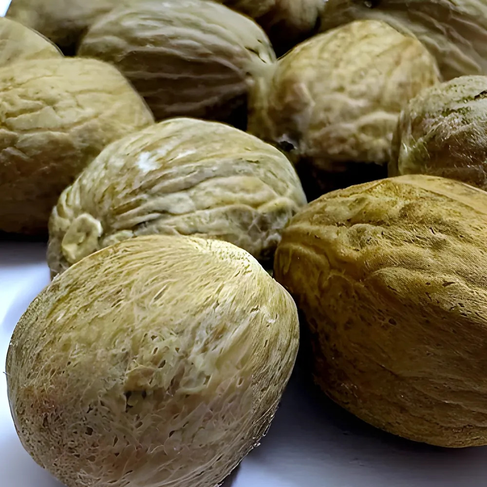 Jaiphal Daal, real close-up of our stock