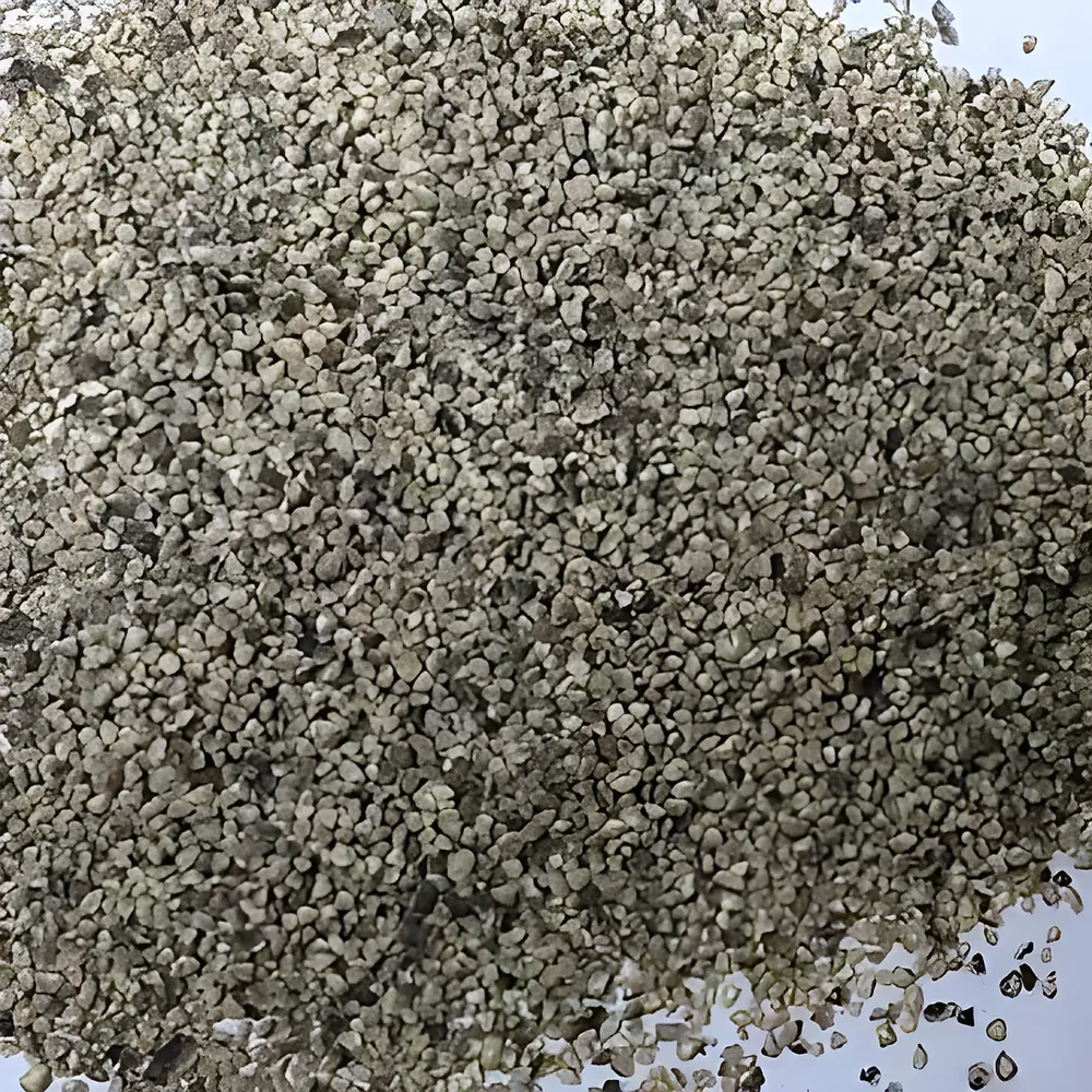 Regular EXPORT Daal, real close-up of our stock
