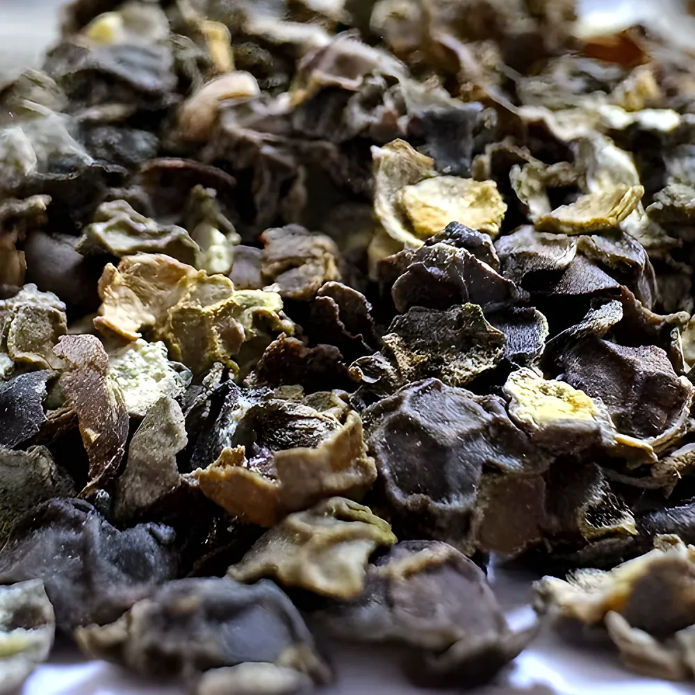 XXL Chhilka, real close-up of our stock
